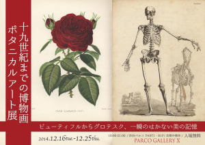 ゴスロリブームの元祖も公開、死体解剖書などが展示されるボタニカルアート展開催