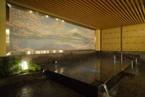 歌舞伎町に「テルマー湯」オープン 都心最大級のプレミアム・スパ