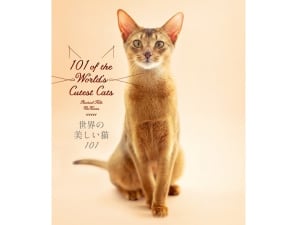 ビジュアル猫図鑑の決定版「世界の美しい猫101」が発売