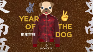 【動画】モンクレール、犬モチーフが隠れたカモフラージュ柄のジャケットとドッグウエア発売