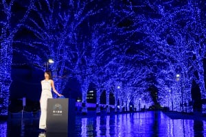 加藤綾子が「青の洞窟」の点灯式に登場、今年は"サウンドジェニック"なイルミネーションに