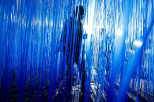 ヘスス・ラファエル・ソトの展覧会がエスパス ルイ・ヴィトン東京で開催、空間を覆う作品を展示