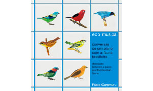 ブラジル・サンパウロ出身のピアニスト、虫たちの鳴き声と共に紡ぐ新アルバムに注目