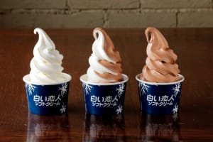 「白い恋人チョコレートドリンクフロート」が北海道外に初登場、石屋製菓のポップアップがギンザ シックスにオープン
