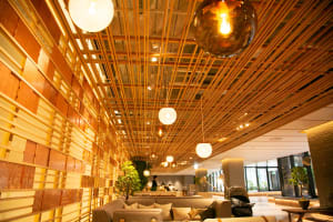 レストラン、ホテル、オーガニックコスメ専門店を備えた複合施設「グッド ネイチャー ステーション」が京都に開業
