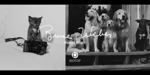 ビオトープ×ブルース・ウェーバー×10CのTシャツが発売、飼い犬や猫の写真をプリント