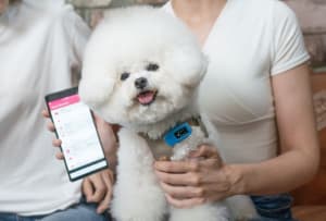 ⽝⽤のウェアラブルヘルスメーター「PuppyDoc」が日本上陸、AIを活用してアプリで健康管理