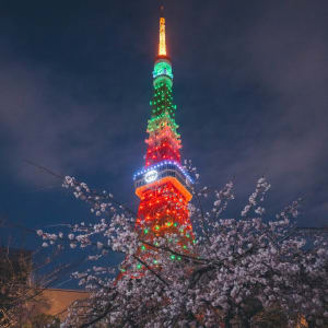 グッチがお花見から着想を得たイベントを開催、東京タワーをグッチカラーにライトアップ