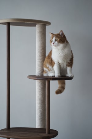 カリモク家具の猫用ブランド「KARIMOKU CAT」に新作、ウォールナット樹種を使用したキャットツリー発売