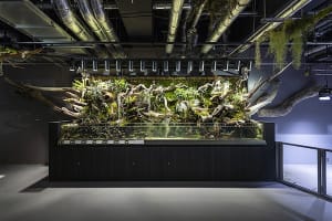SNSで話題の次世代水族館「アトア」がオープン、約100種類3,000点のいきものを展示