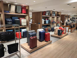 百貨店でスーツケースの売上好調　国内出張や旅行による需要増を受けて