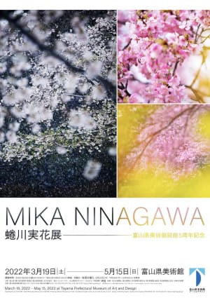 蜷川実花による北陸最大級の企画展が富山美術館で開催、「桜」など代表作を展示