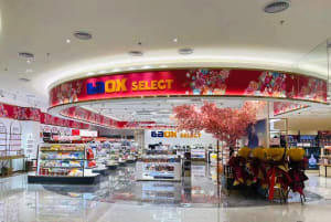 ラオックス、中国・海南島にセレクトショップをオープン　約600の日本ブランド商品を販売