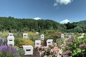 ハッチがミツバチが快適に過ごせる「ミツバチの楽園」を三重県にオープン　千葉など全国展開を予定