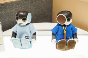 新宿髙島屋バイヤーに聞く「ロボットのある生活」の今　専門ショップはコロナ前から売上4倍増