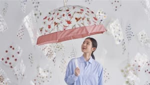 レイングッズブランド「Wpc.」がプランティカとコラボ、春の装いを彩る3色の傘を発売