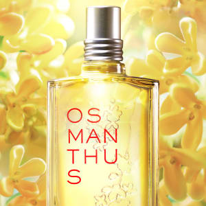 振り返りを誘う金木犀の香り　ロクシタンが大ヒット「オスマンサス」を「＃ふりむかれ香水」として発信