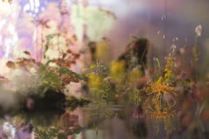 「ヴァン クリーフ&アーペル」太古の森で出会うジュエリーと花々　展覧会が京都で開幕