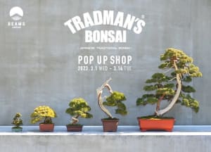 「ビームス ジャパン」がトラッドマンズ 盆栽とコラボ、ポップアップ開催