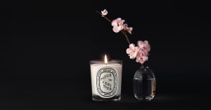 「ディプティック」桜の香りの限定キャンドル発売　売上の一部を桜の木の植樹活動に寄付