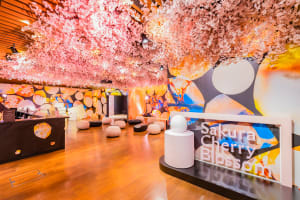 ジョー マローン ロンドンが桜に着想を得たフレグランス発売　特別イベントに倉科カナが来場