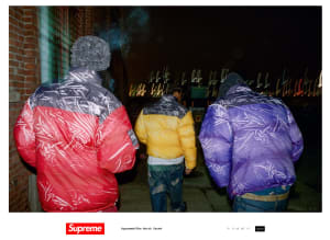 シュプリームとザ・ノース・フェイスがコラボ、騙し絵デザインのジャケット発売