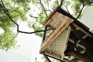 ビオトープがツリーハウスをリニューアル、屋根付きのデッキを増設