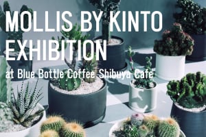 キントーの植物ブランド「モリス」が鉢植えを販売、渋谷のブルーボトルコーヒーでイベント開催