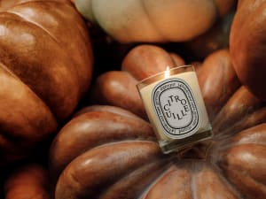 「ディプティック」かぼちゃが香るキャンドルを期間限定発売　秋の到来を祝福
