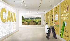 スパークリングワイン「CAVA」の展覧会が初開催　会場はスペイン大使館
