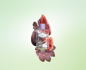 「プラダ ビューティ」のフレグランス“インフュージョン”からフィグの香りの新作が登場