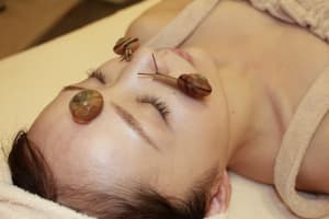 生きたカタツムリを顔に 日本初の美容エステ誕生