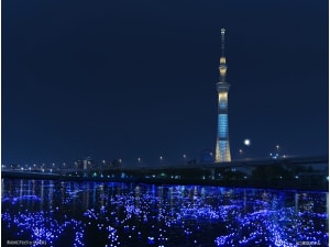 隅田川が舞台、一夜限りの光のアート「東京ホタル®」再び